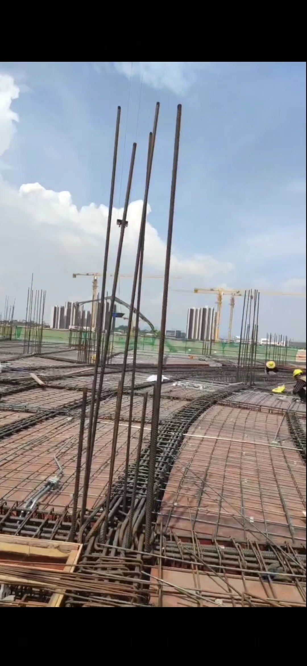 茂名奧林匹克項目